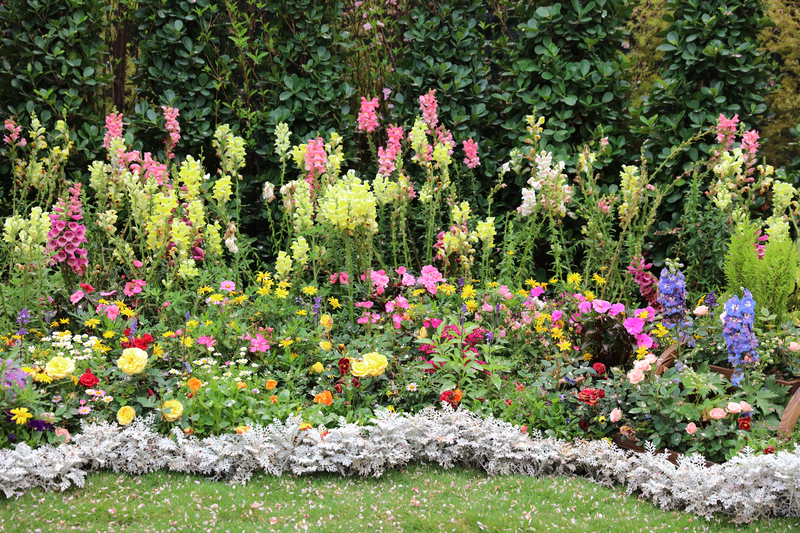 Perennial garden flower bed in spring